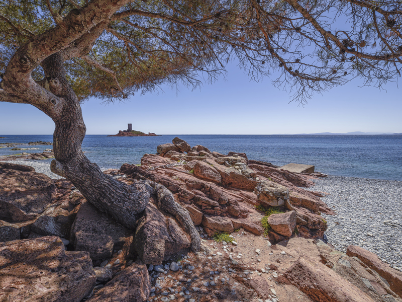 Cap Dramont (Crédit photo : Pascal Borsotto)