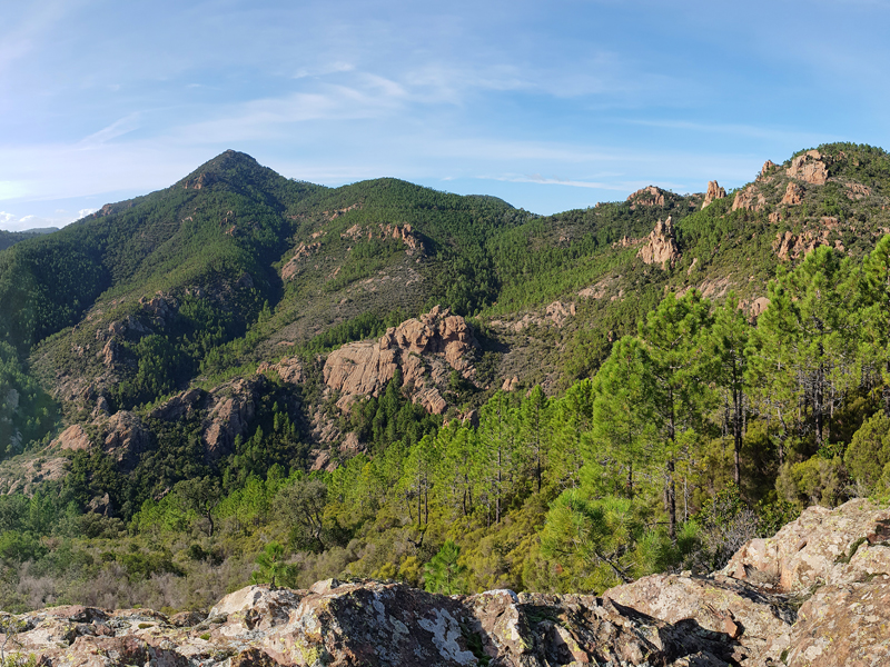 Massif de l'Estérel (Crédit photo : Patrice Texier)