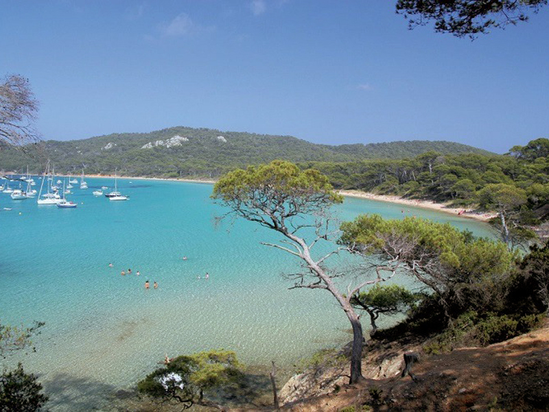 Les pins, le sable et la Mer ...